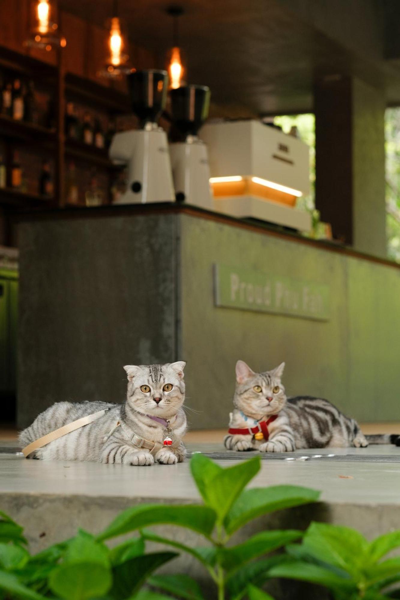 Proud Phu Fah Muang Chiang Mai Hotel Ngoại thất bức ảnh